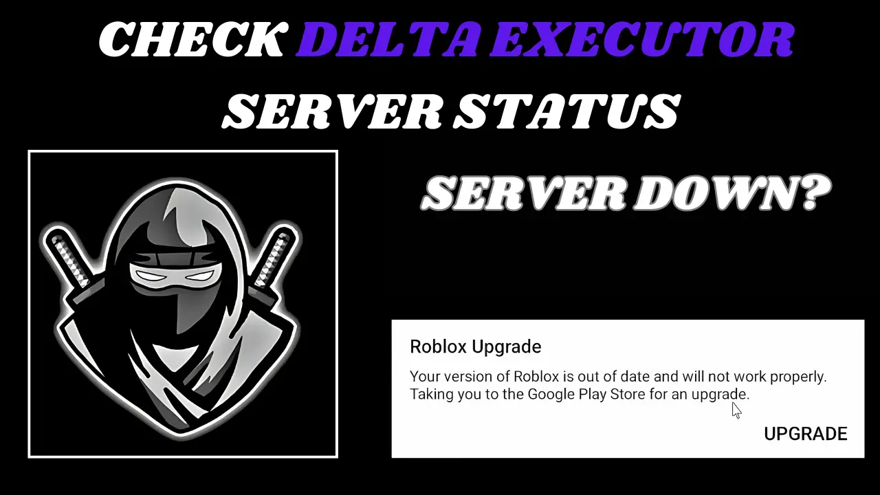 Delta Executor Server Status